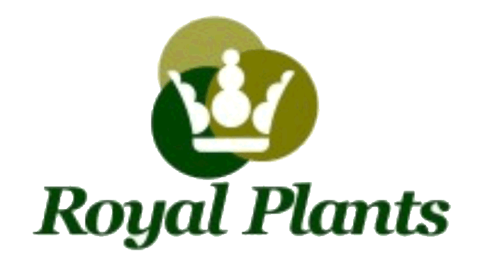 Royal Plants